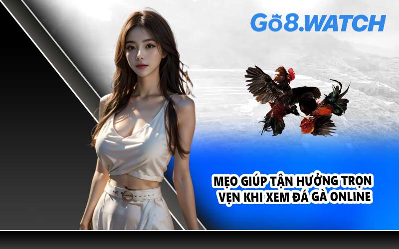 Mẹo giúp tận hưởng trọn vẹn khi xem đá gà online