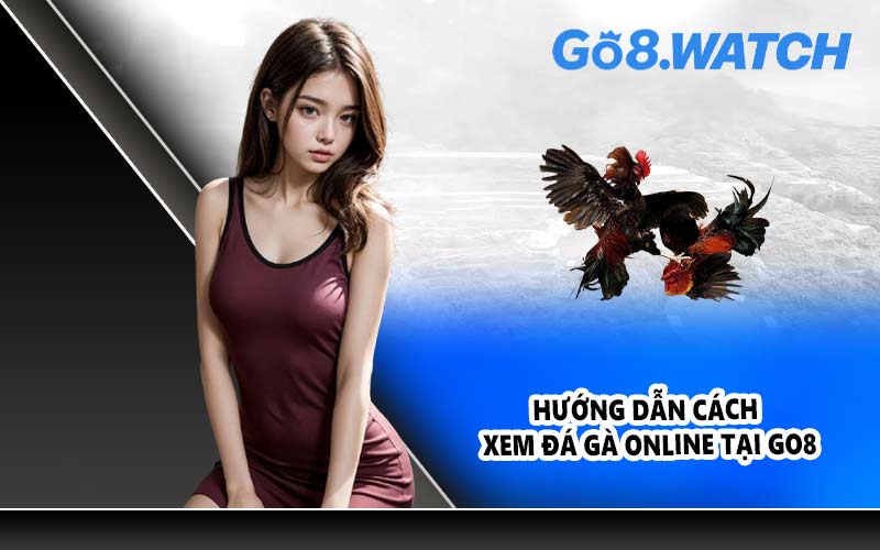Hướng dẫn cách xem đá gà online tại GO8