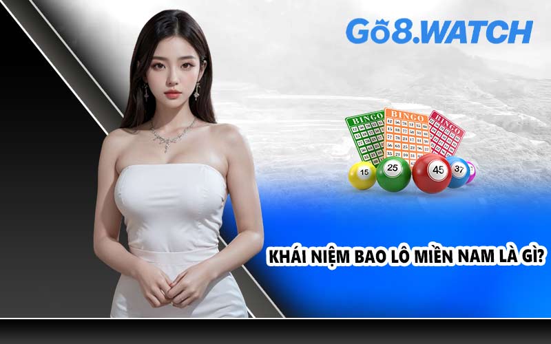 Khái niệm bao lô miền Nam là gì?