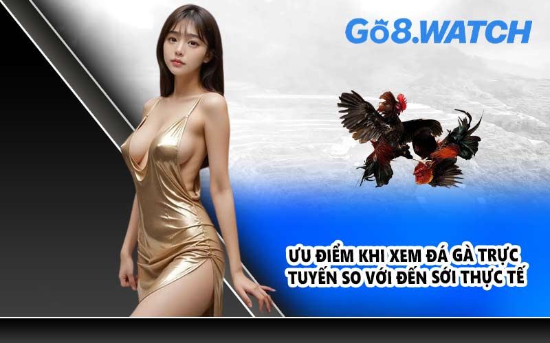 Ưu điểm khi xem đá gà trực tuyến so với đến sới thực tế
